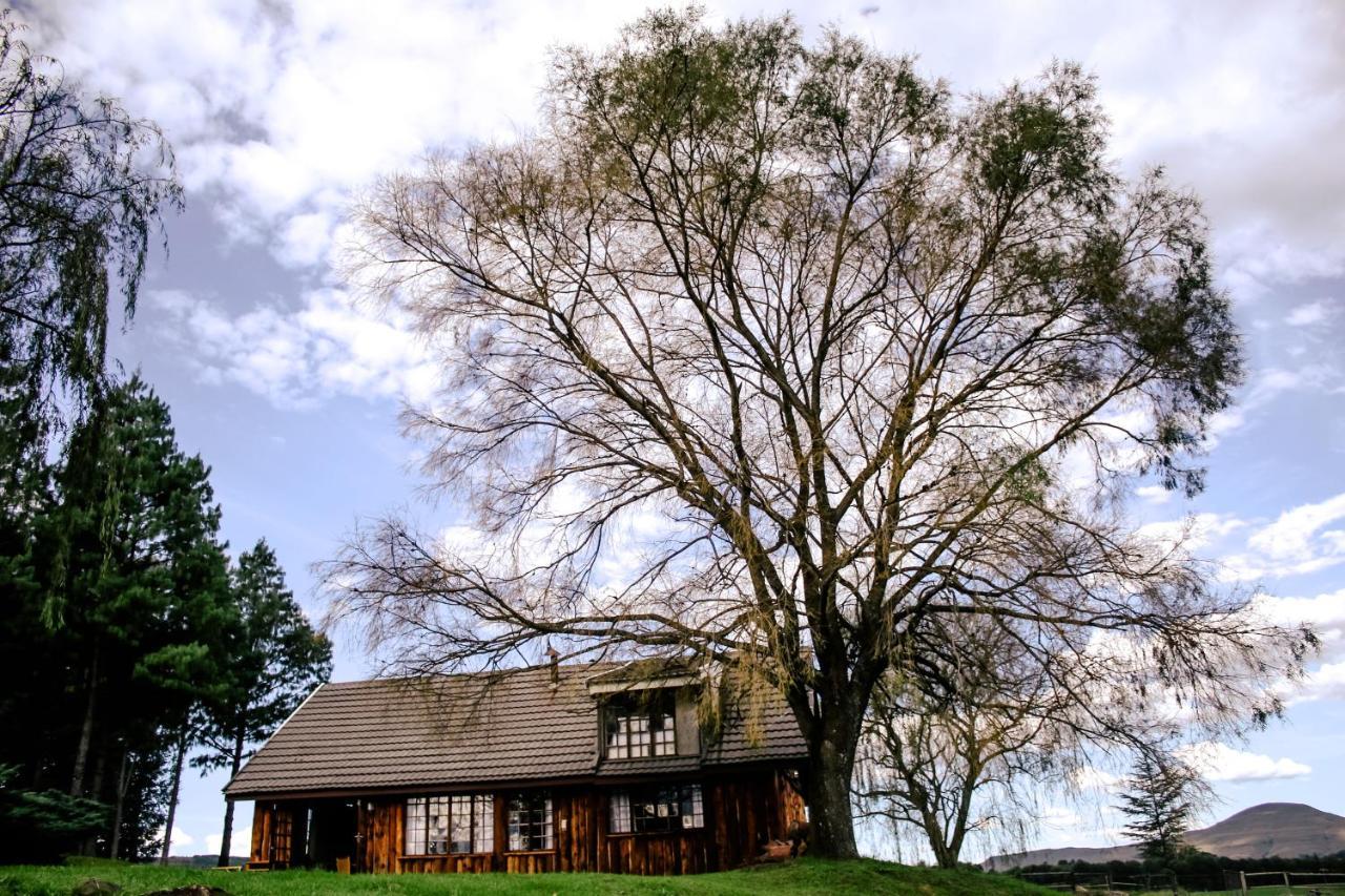 Villa The Log Cabin At Elgin Underberg Exterior foto